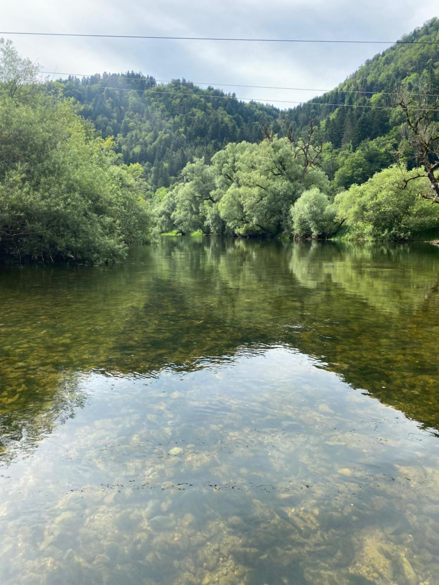 Maison Verte Roche Εξωτερικό φωτογραφία